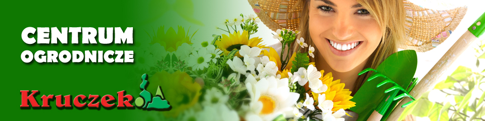 fast and simple content management system